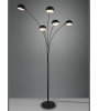 Lampadaire DITO noir : design moderne et lumière réglable